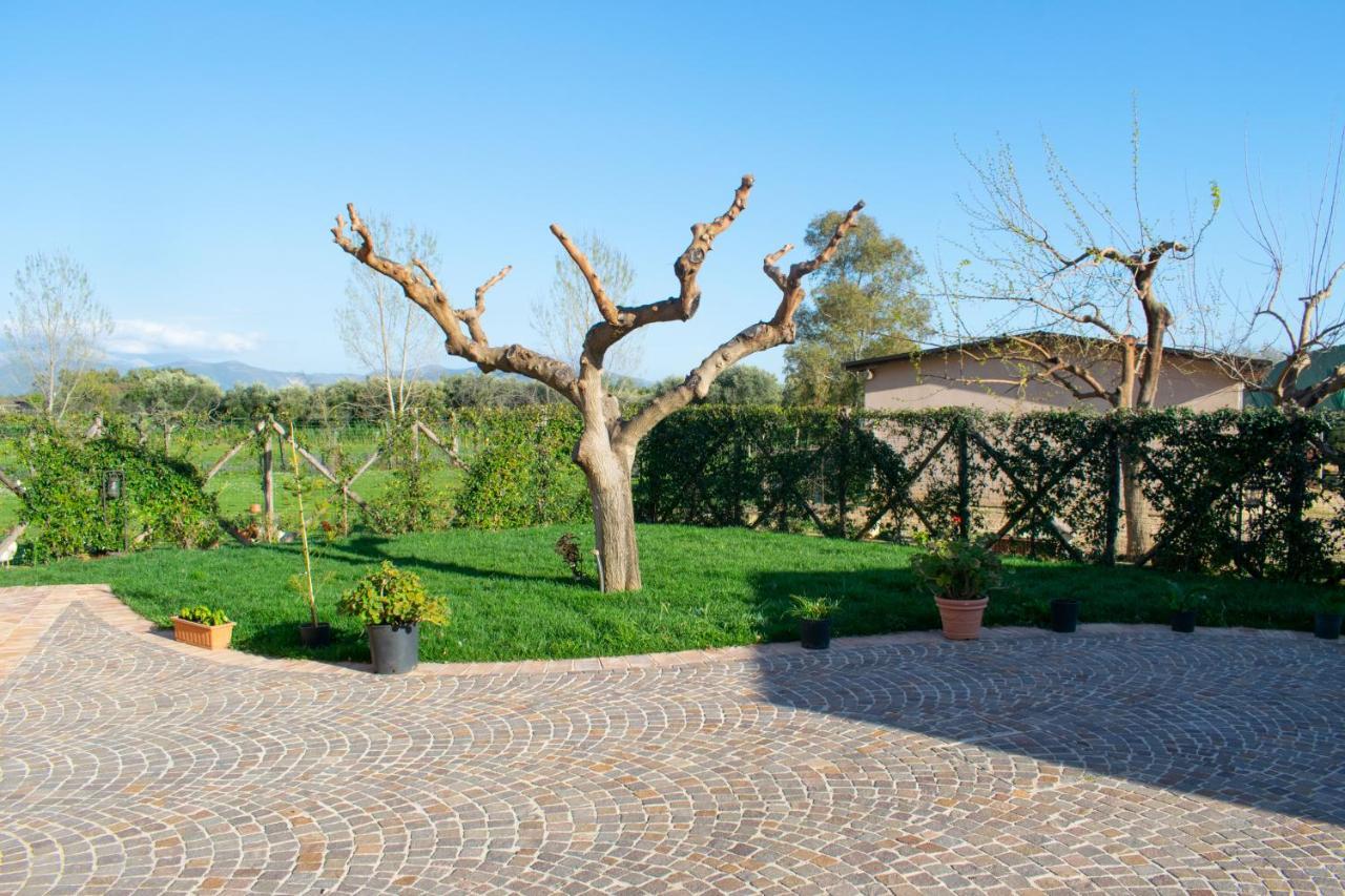Camera Iris - B&B Antico Casale Monte San Biagio Exterior foto